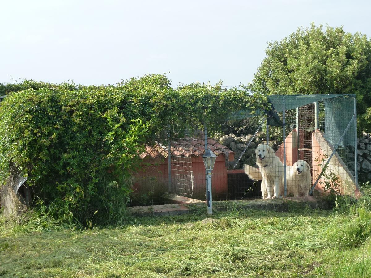 Agriturismo Nuragh'Elighe Sindia Exterior photo